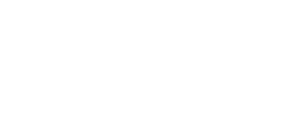 Meta Business Partner